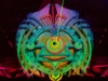 480990_4421860028775_439945491_n