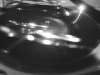 525533_10151459502935538_486534870537_23307890_530652148_n